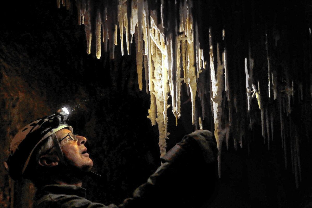 Retired rocket engineer Paul Kemp, 67, of Sandy, Utah, cleans lint off stalactites inside Lehman Cave at Great Basin National Park in Baker, Nev.