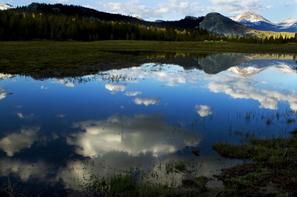 Boster, Mark -- - YOSEMITE NATIONAL PARK, CA., JUNE 26, 2010: (SUMMER): White, fluffy clouds are reflected in one of the many ponds in Tuolmne Meadows on a warm, buggy June evening in Yosemite National Park May 26, 2010(Mark Boster/Los Angeles Times)