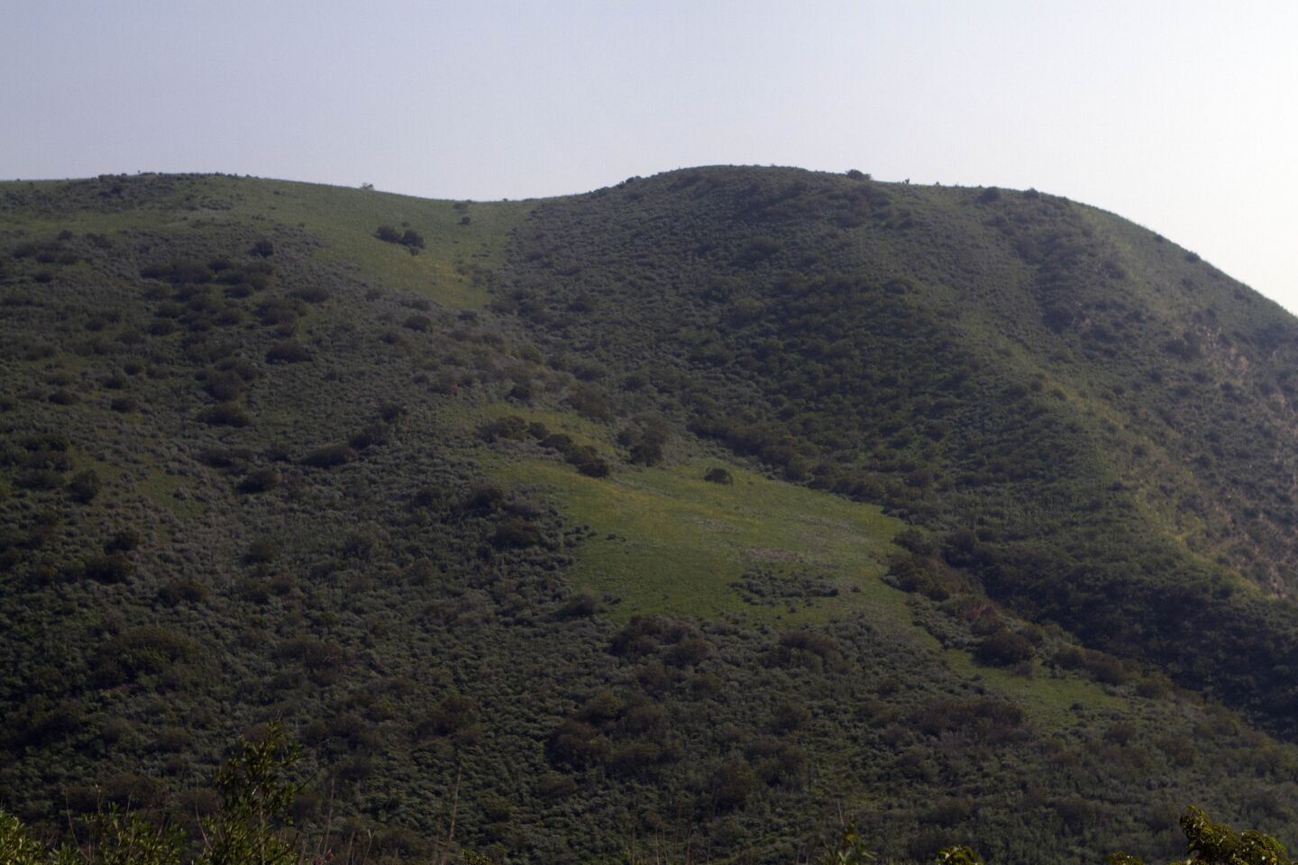 Winter rains have restored the green shade to Solstice Canyon hillsides.