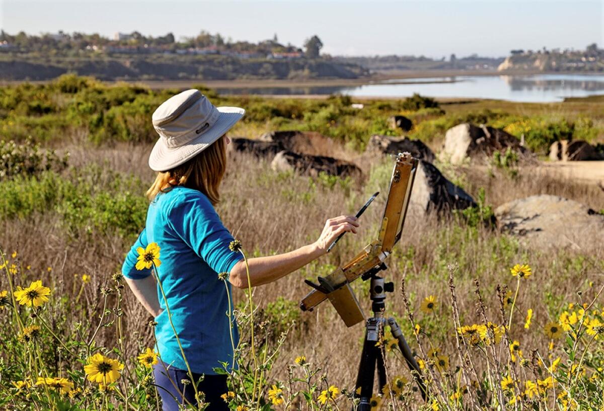 The Southern California Plein Air Painters Assn. will host a show at the Environmental Nature Center June 5 and 6.