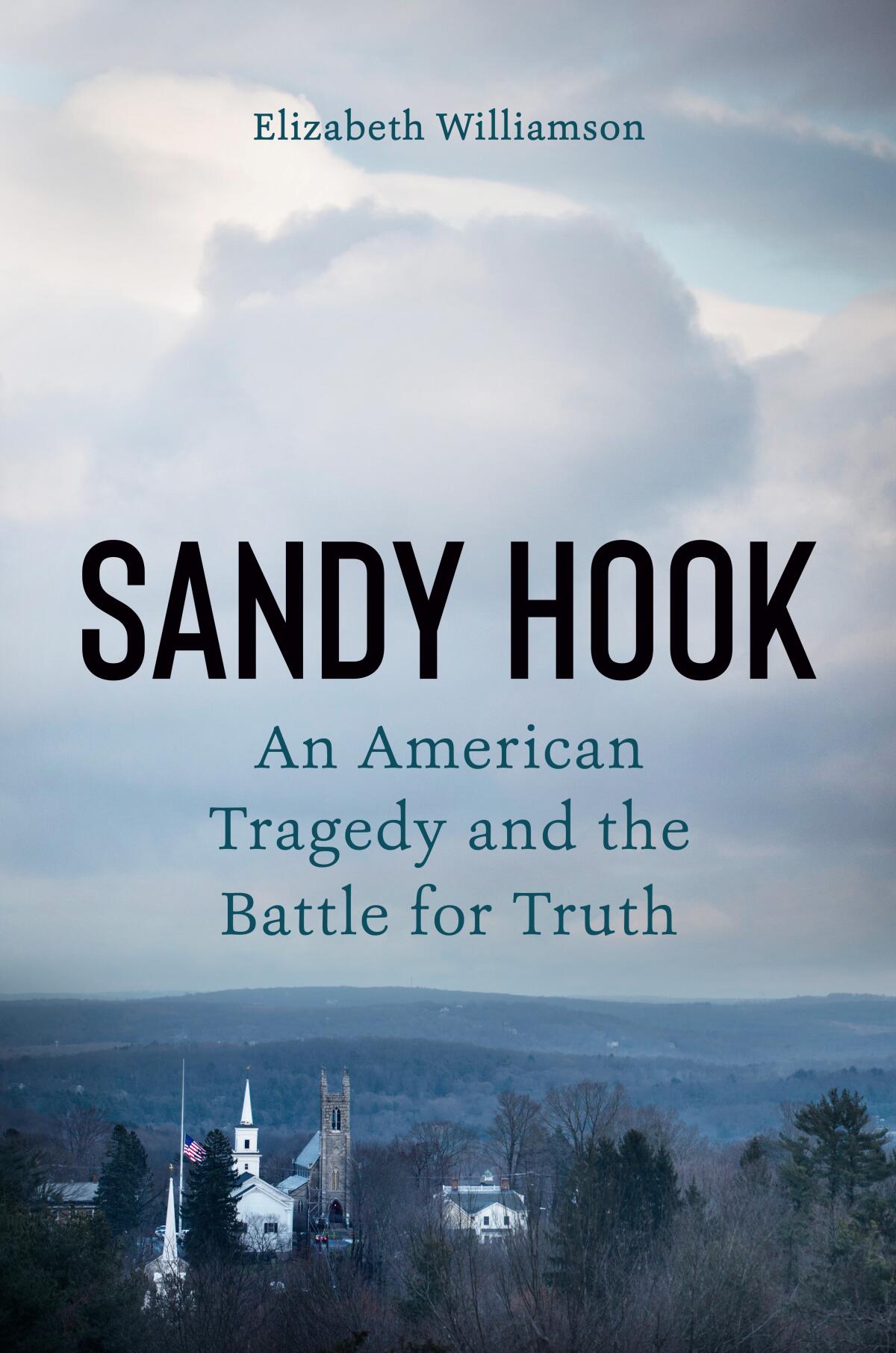 "Sandy Hook: An American Tragedy and the Battle for Truth," by Elizabeth Williamson