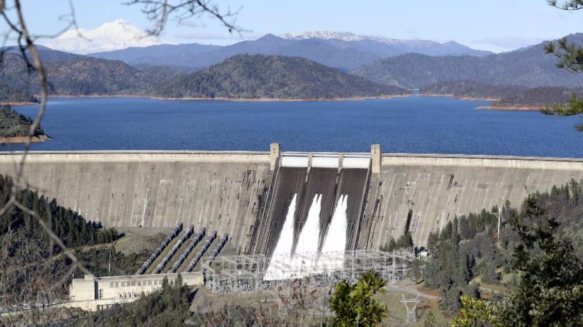 On Jan. 12, water flowed from five of the gates on Shasta Dam for the first time in six years.