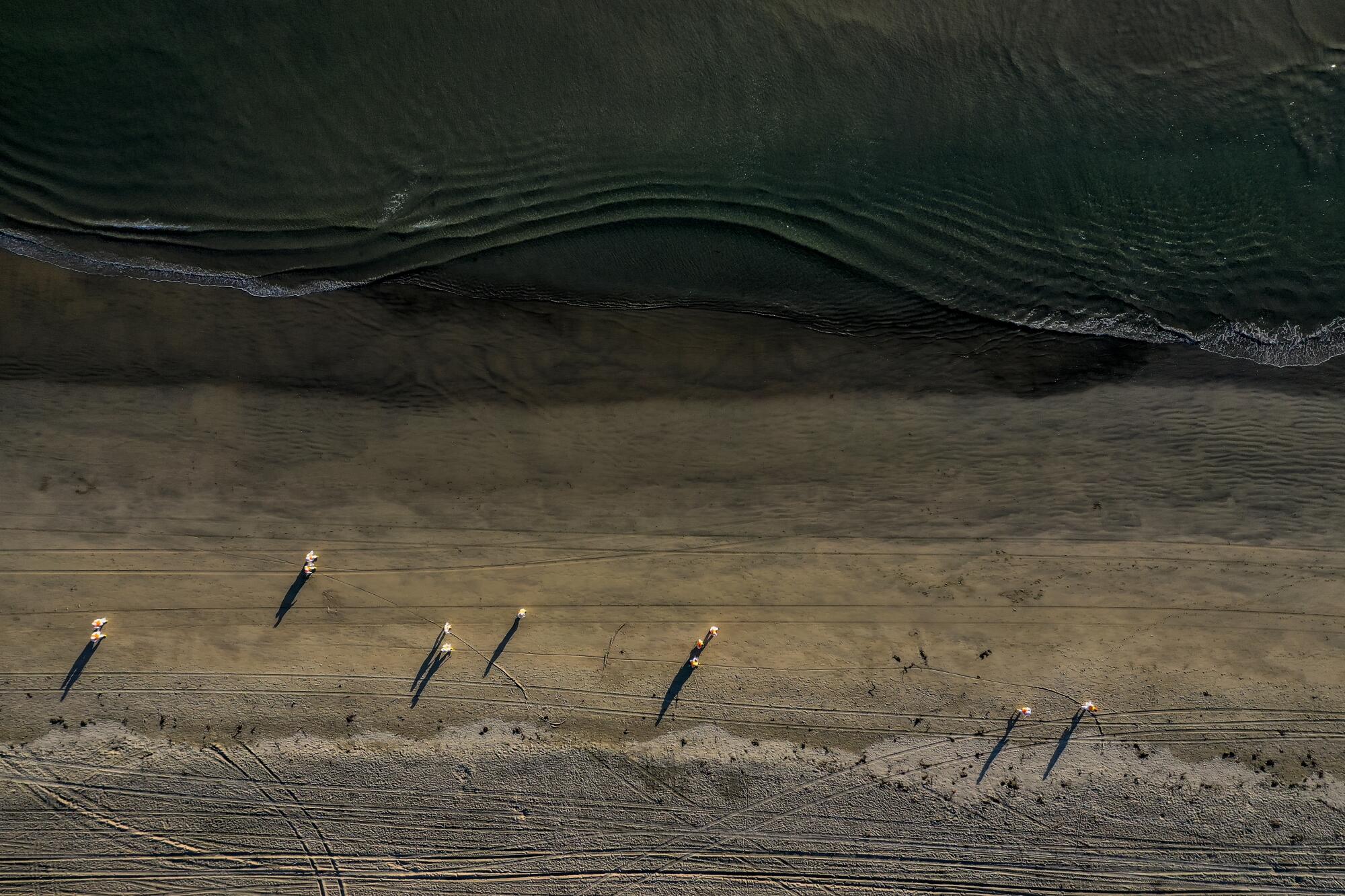 An aerial view of people working on an oiled beach
