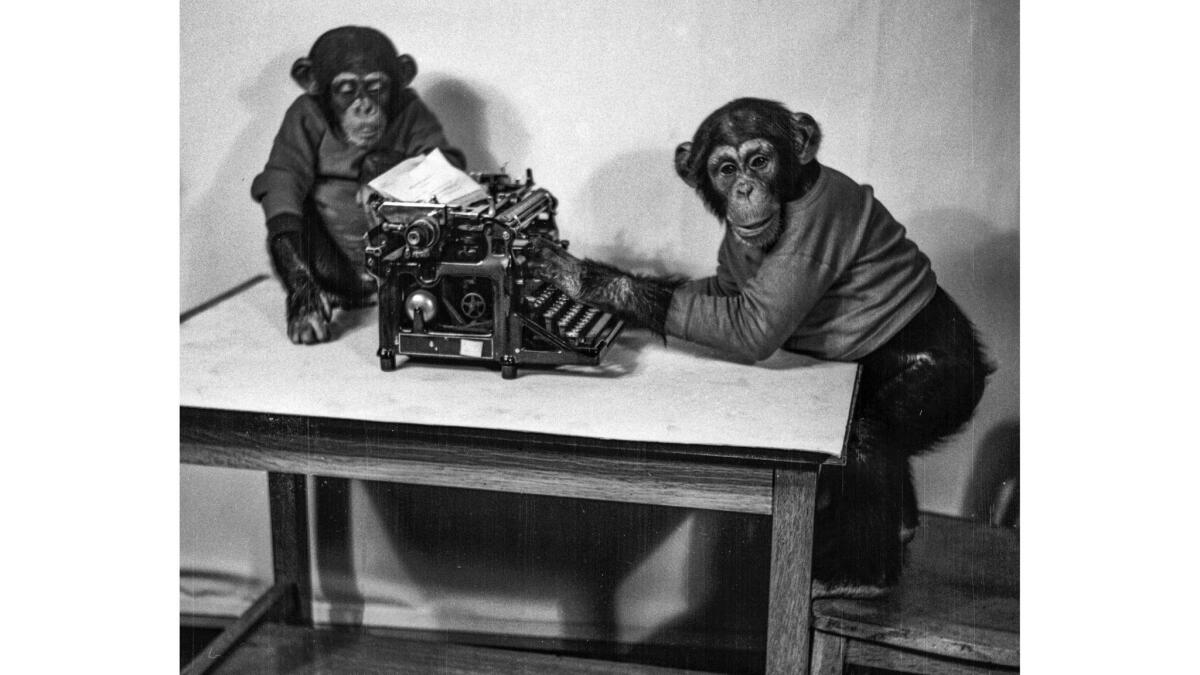 Jan. 18, 1936: Chimpanzees Ditto, left, and Shorty play with a typewriter for Los Angeles Times photographer J.H. McCrory.