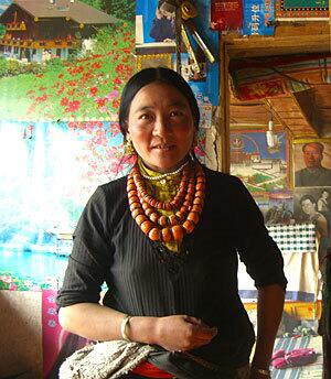 Tibetan worm changes fortunes