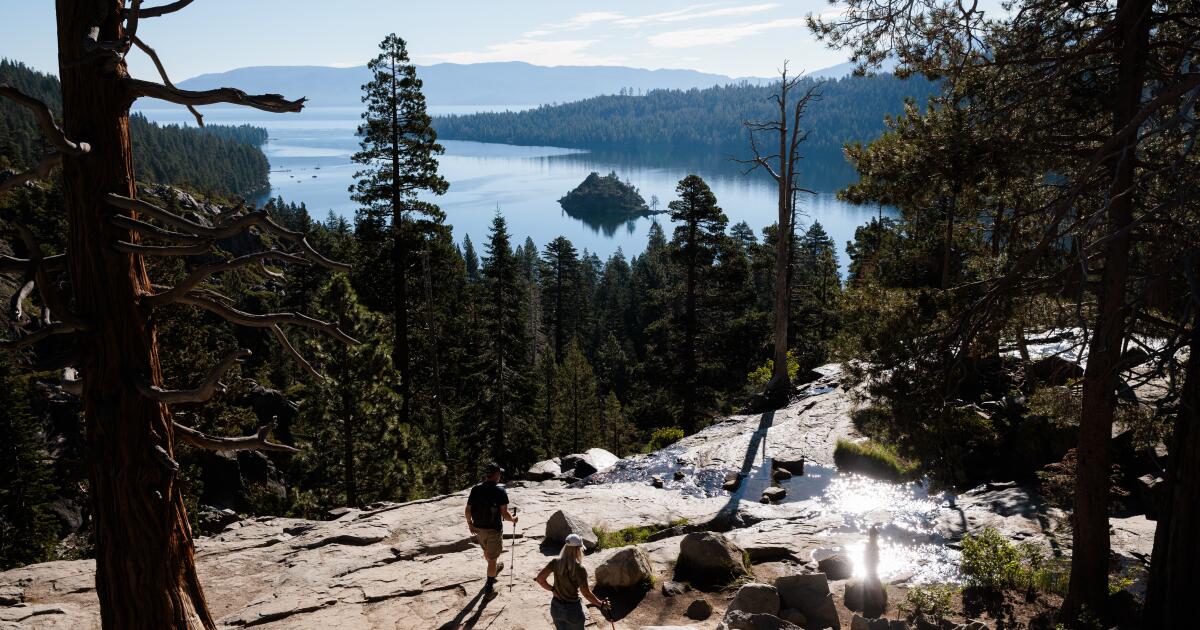 Carson City'den Kanada'ya yürüyün ve muhtemelen 5.000 $ kazanın