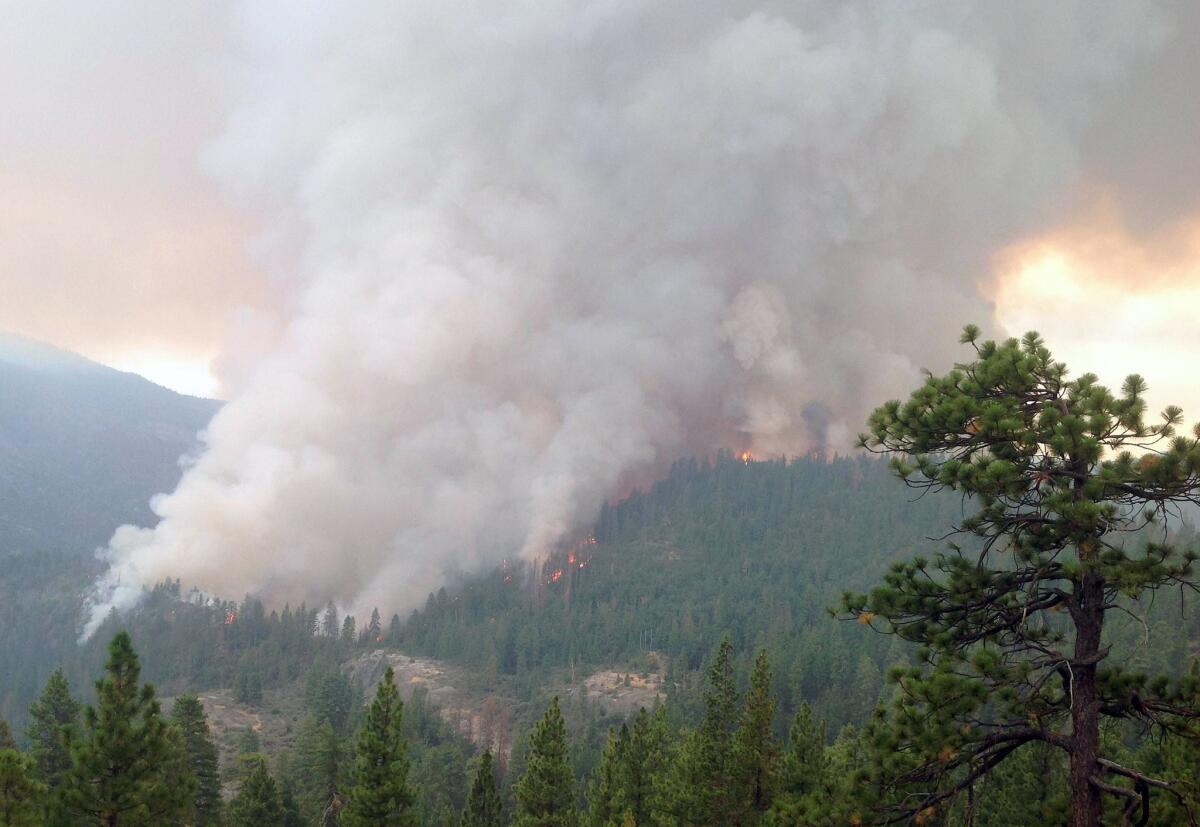 This July 28 photo by the U.S. Forest Service shows flames and smoke in the Sierra National Forest.