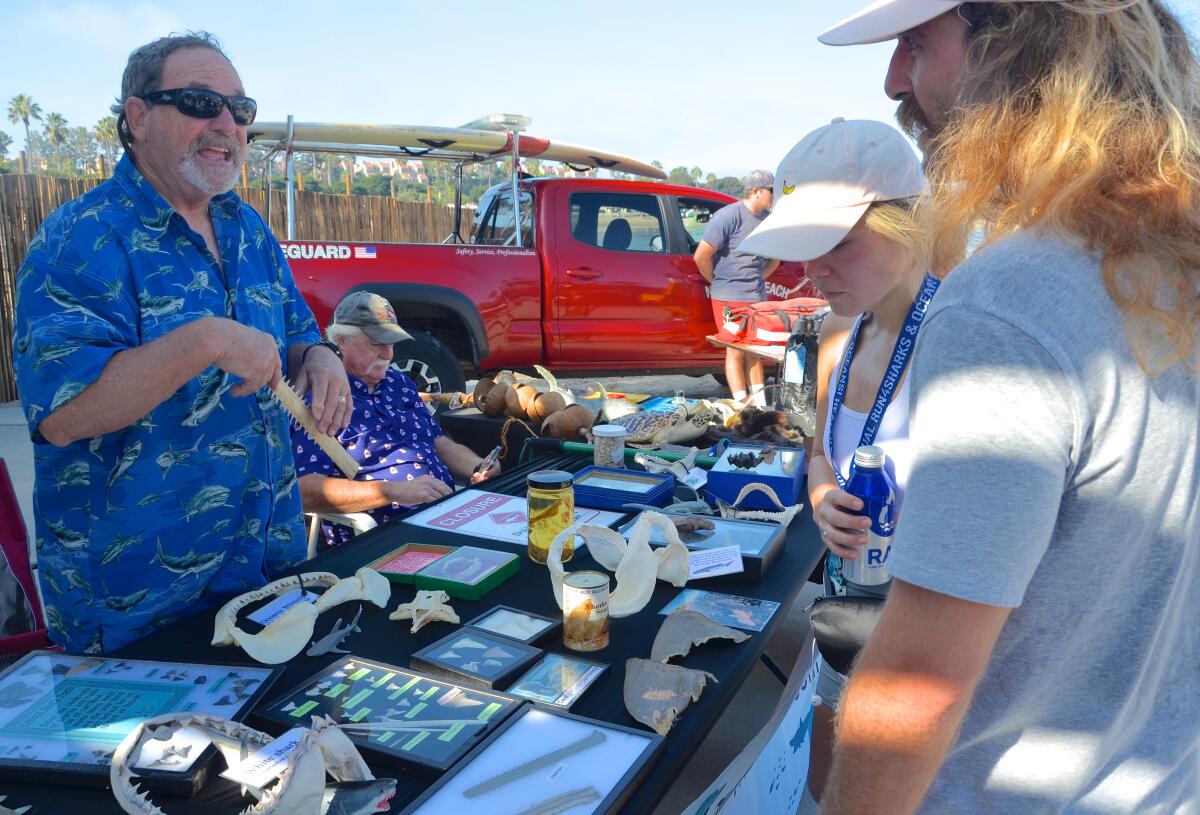 From left, Ranger Jim Serpa and teacher Bill Brooks run a mini museum table about sharks.