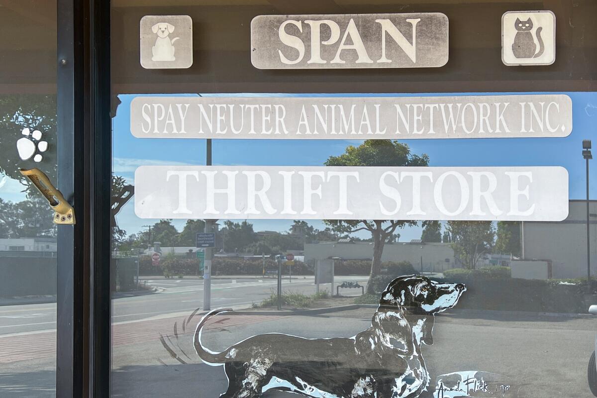 The front window of SPAN Thrift Store, with a painted dog