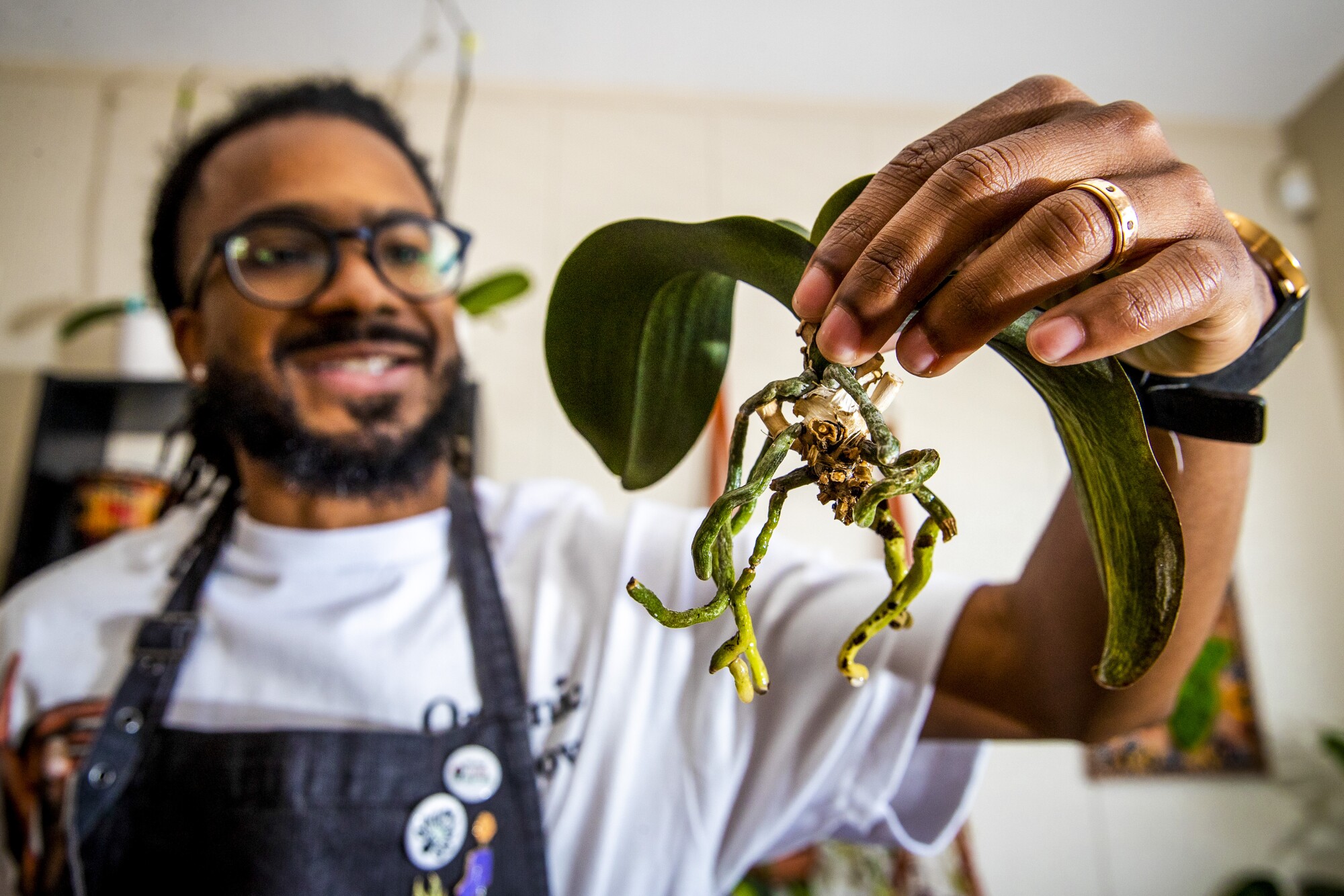 A man holds up an orchid after cutting off its dead roots.
