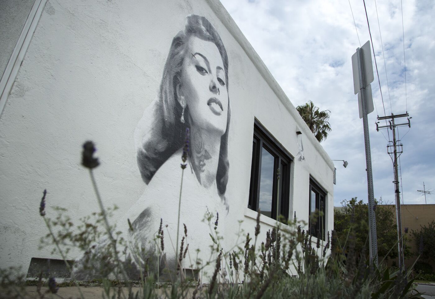 A portrait of Italian actress Sophia Loren is painted on a wall at Felix Trattoria in Venice.
