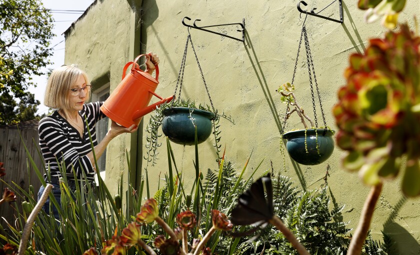 A woman waters hanging plants.