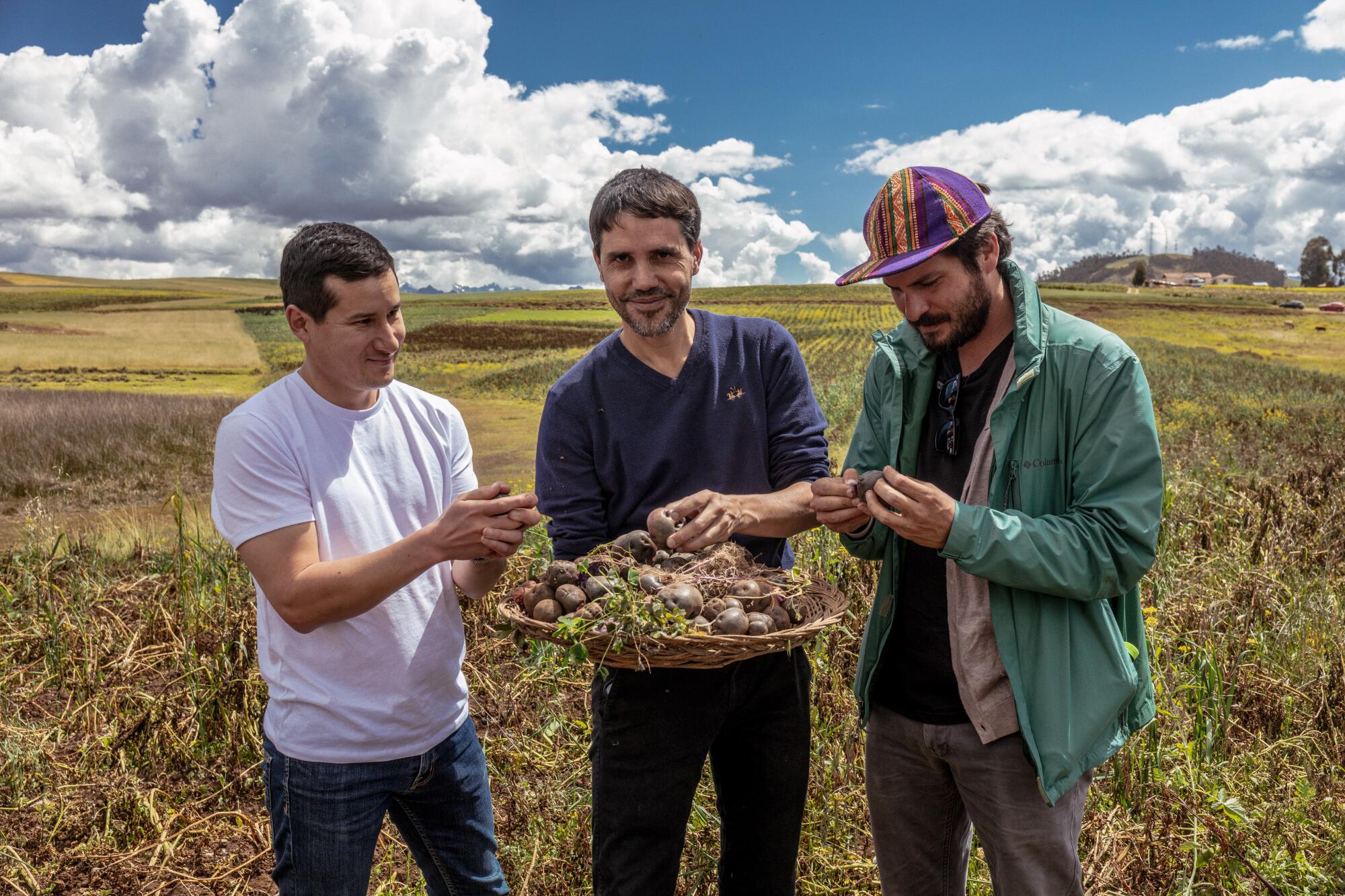 HUATATA, CUSCO - MAY 01, 2023: Luis Valderrama, Virgilio Martinez and Jan Brack show the potato harvest in Huatata, Cusco
