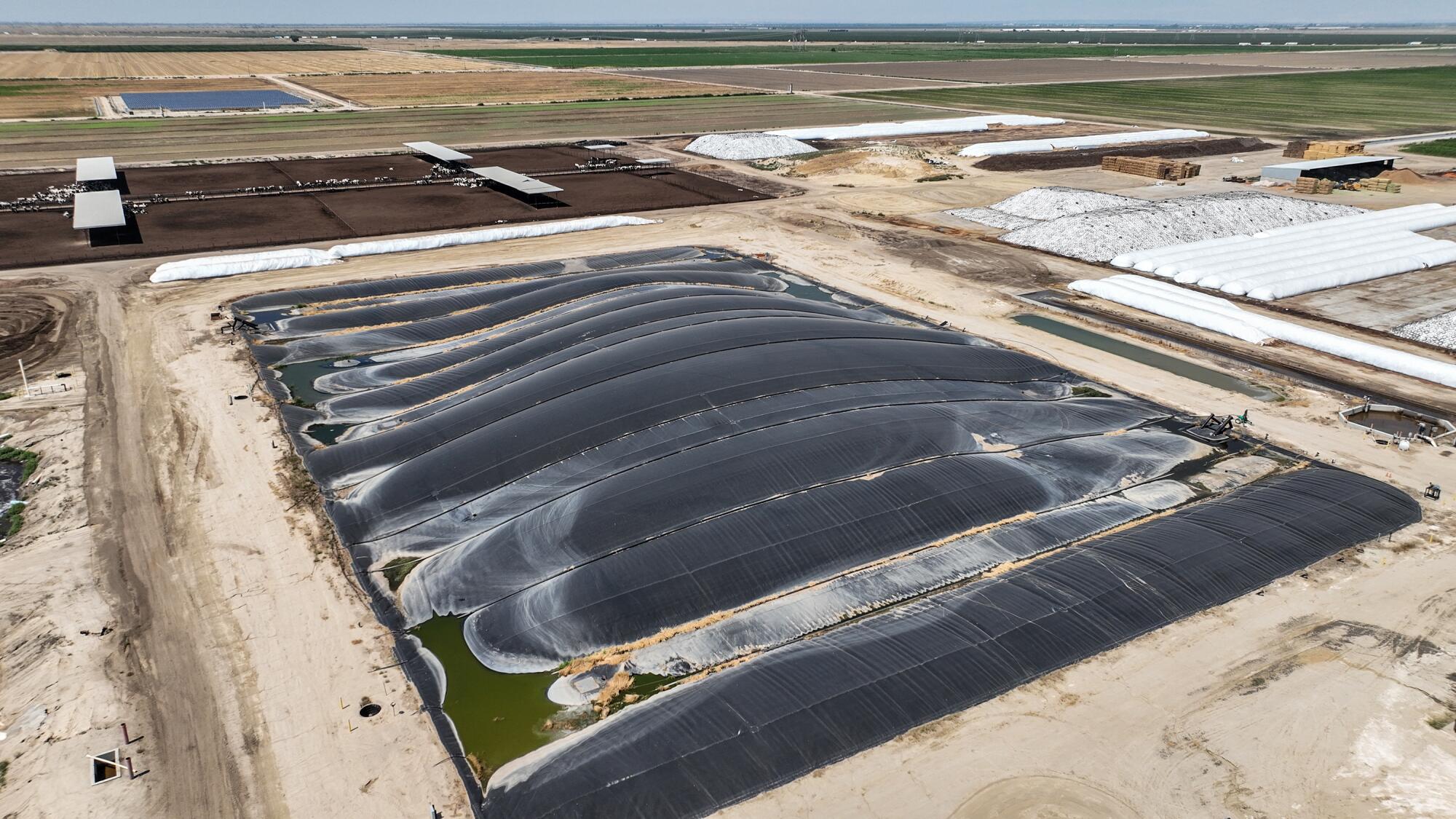 Large tarps capture methane from pools of processed cow manure. 