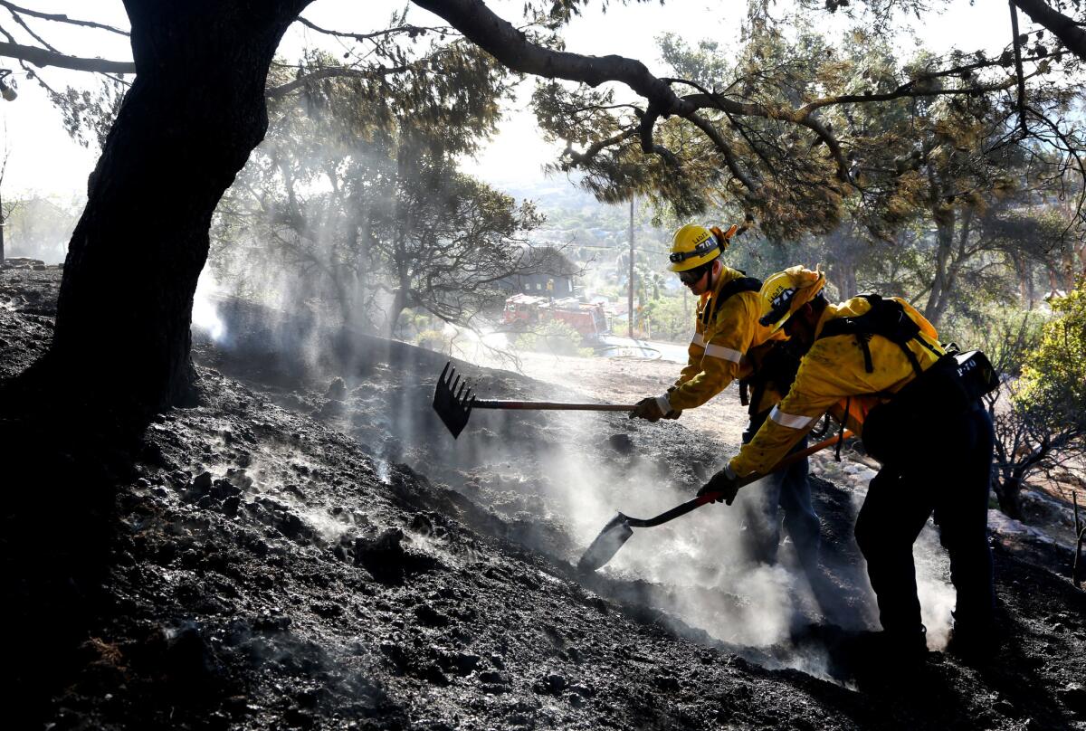 Firefighters work to put out a brush fire in Malibu in the hills above Pt. Dume.