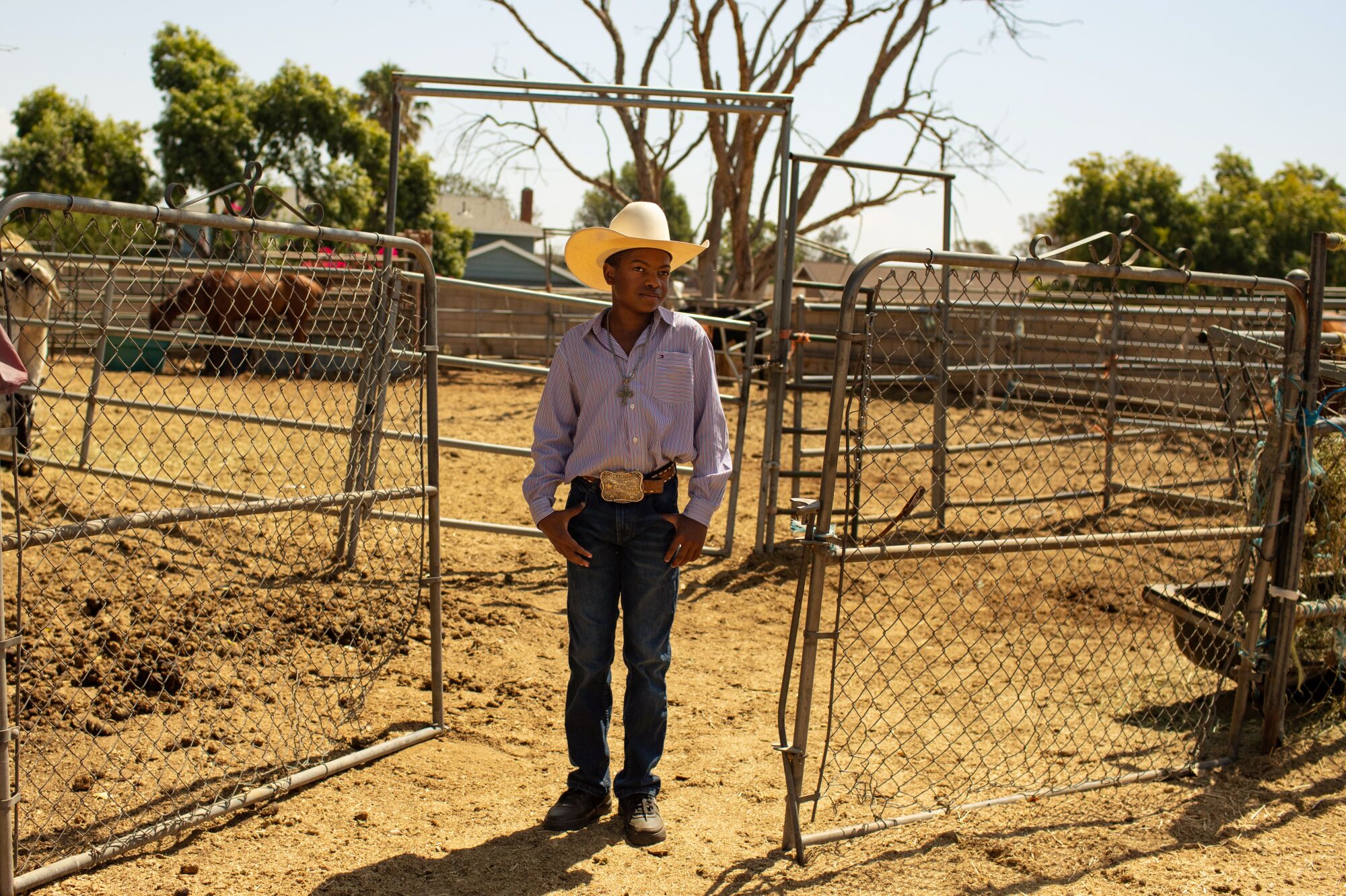 A young cowboy standing by metal gates outside a corral with a horse inside