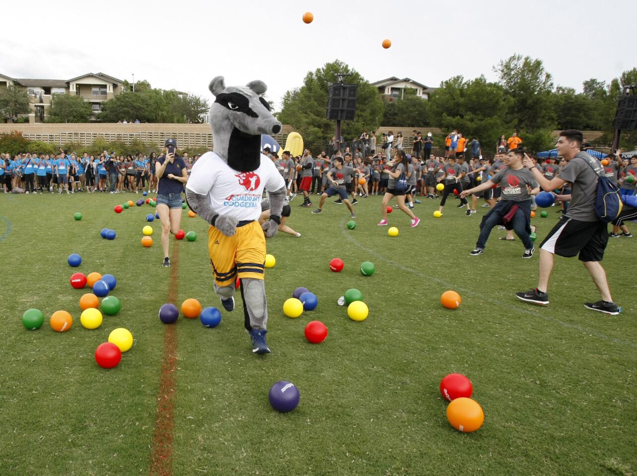 Photo Gallery: University of California Irvine attempts to break four-quadrant dodgeball world record