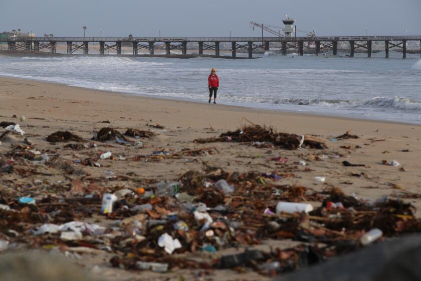 Seal Beach, CA - January 11: A beach-goer walks past rash and debris covering a portion of the beach after recent storms brought debris-flows and flooding across parts of Seal Beach near the San Gabriel River Wednesday, Jan. 11, 2023 in Seal Beach, CA. (Allen J. Schaben / Los Angeles Times)
