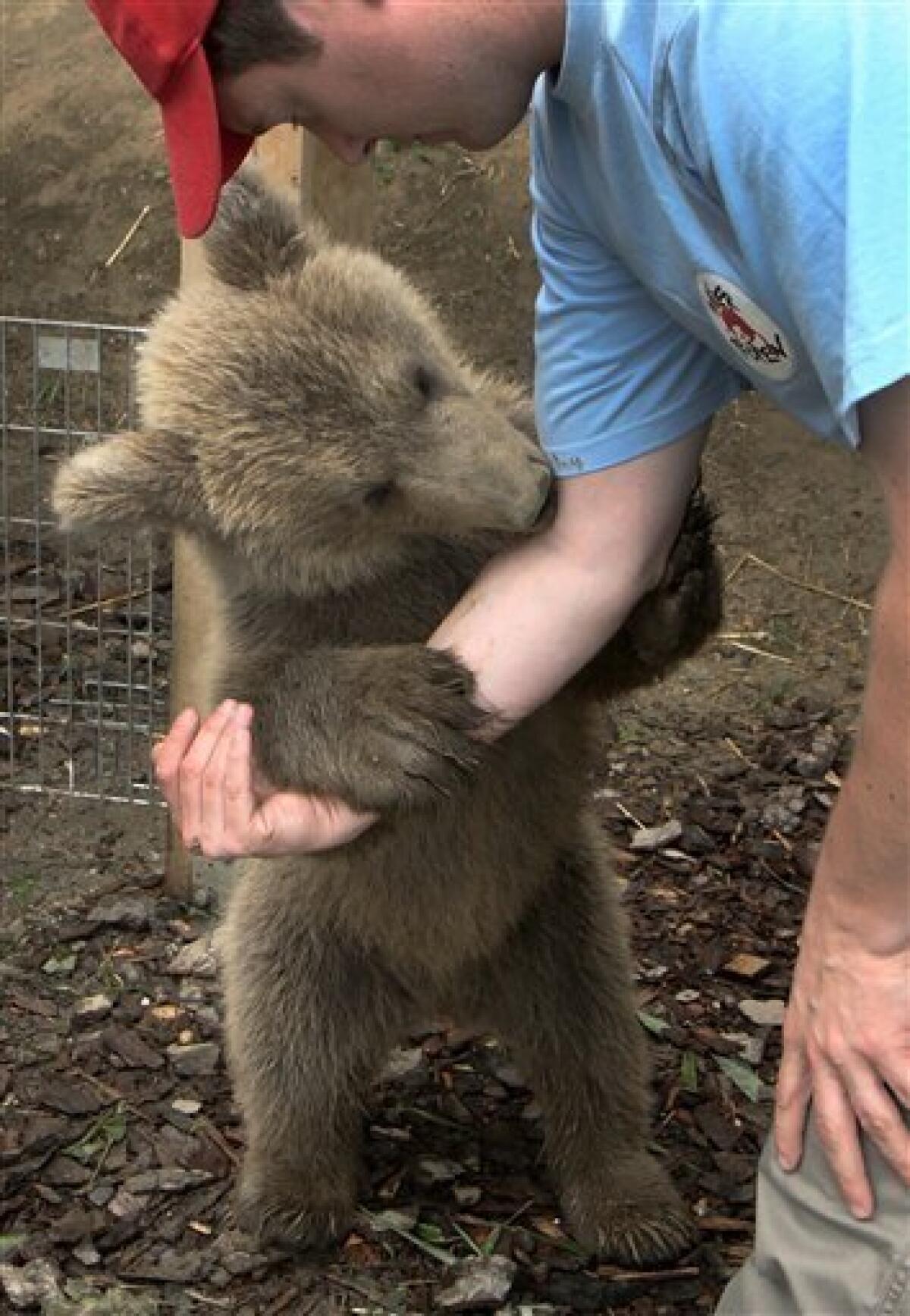 An Orphanage for Grizzly Bears, Nature and Wildlife