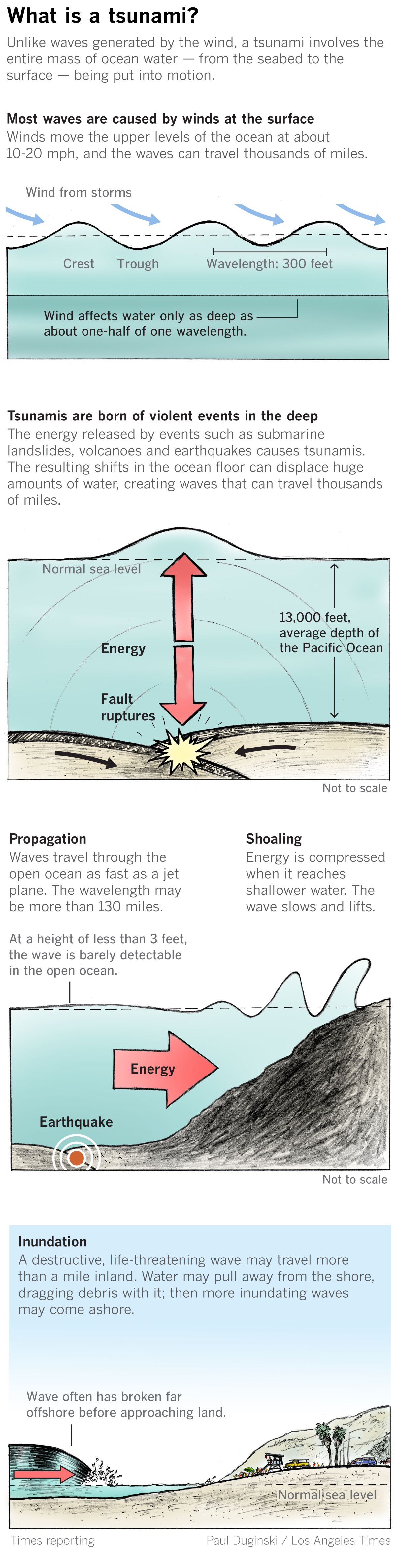 Graphic shows how tsunamis form and the threat they pose to coastlines.