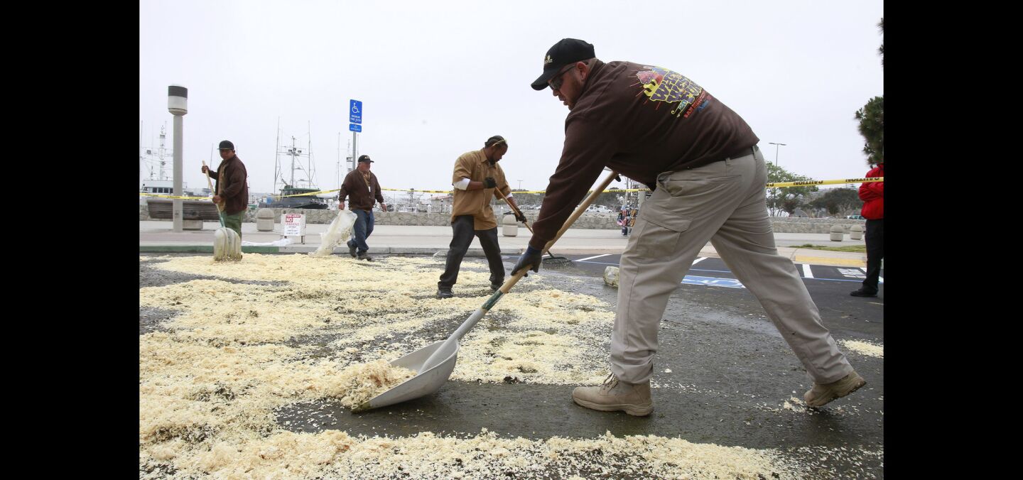 Omar Orozco and other fair workers clean up the obvious end result of what two hundred head of cattle, that were in a cattle drive to promote the San Diego County Fair, will leave in the area they were corralled in at Tuna Harbor.