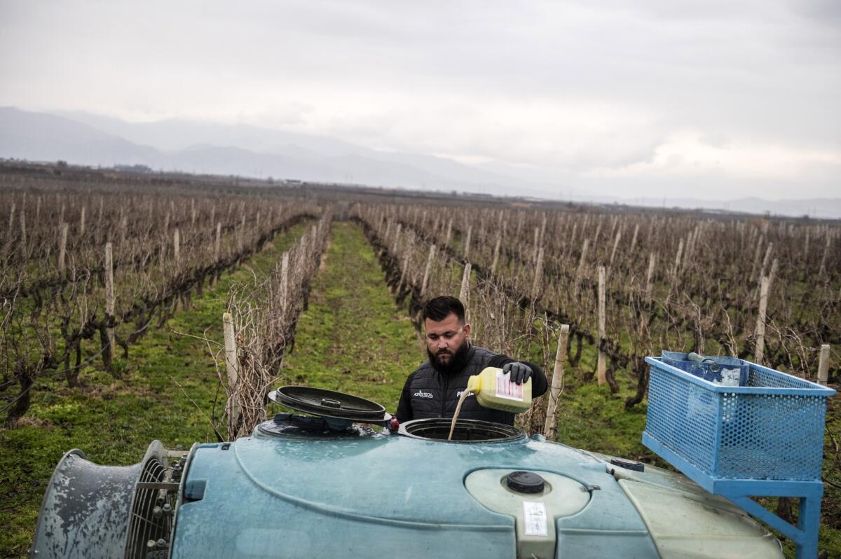 A farmer fills a spray machine with pesticide at his vineyard in Greece.