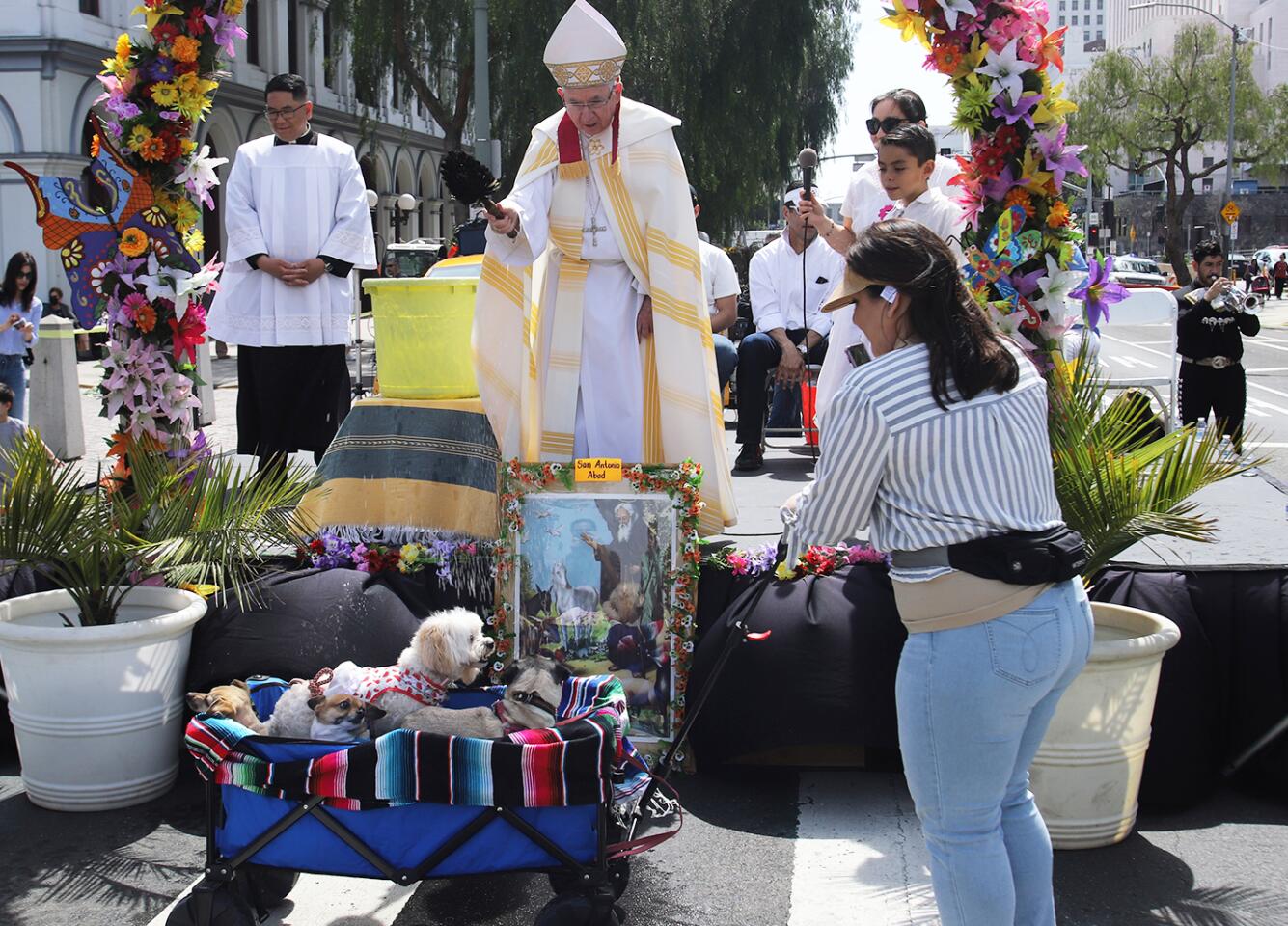 1280600-la-es-blessing-of-the-animals-placita-olvera-20230408-11