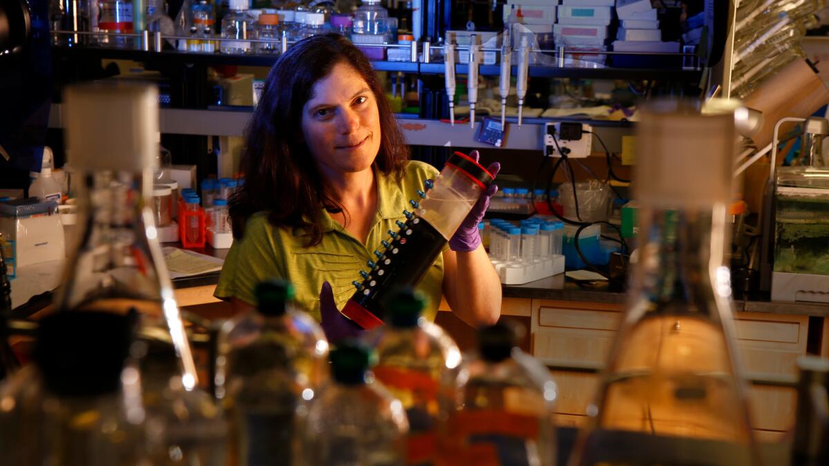 Geobiologist Victoria Orphan with a core taken from the deep sea, at her lab at Caltech in Pasadena.