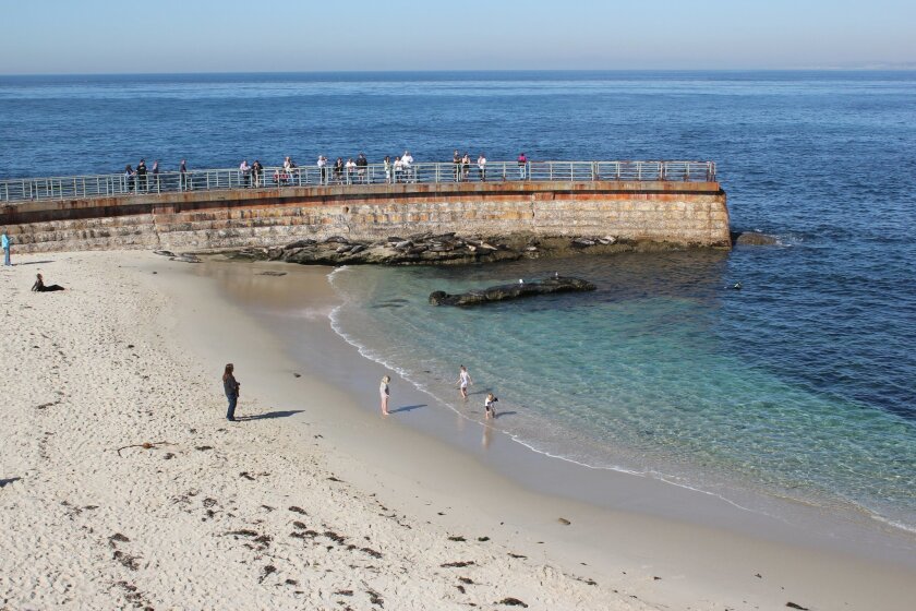 Children's Pool beach, just prior to establishment of a year-round guideline rope intended to keep humans a safe distance from seals. A City Council vote to close the beach during the seals pupping season was postponed Oct. 29. File