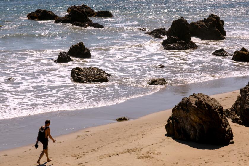 MALIBU, CA - AUGUST 10, 2022 - - A man enjoys a walk along Lechuza Beach in Malibu on August 10, 2022. (Genaro Molina / Los Angeles Times)