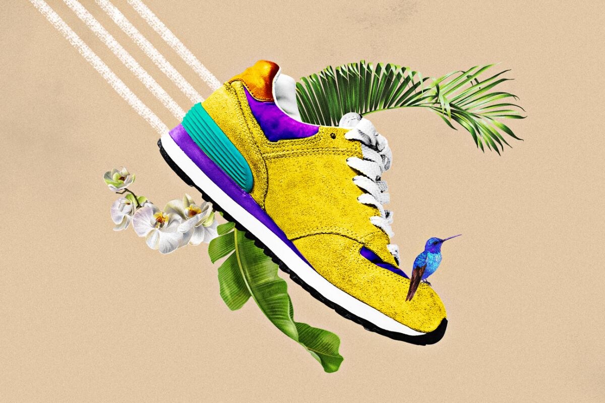 An illustration of a shoe with tropical plants and a hummingbird surrounding it.