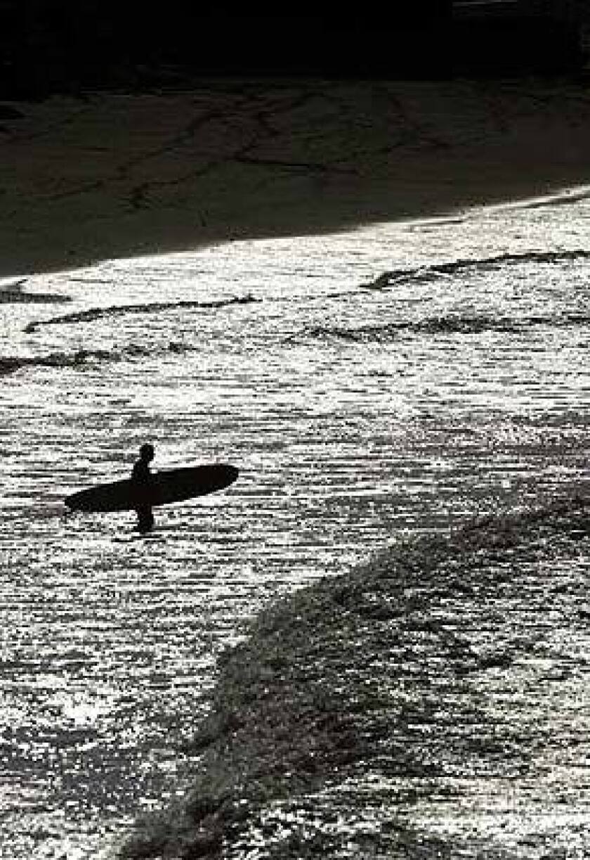 To Protect And To Surf Los Angeles Times