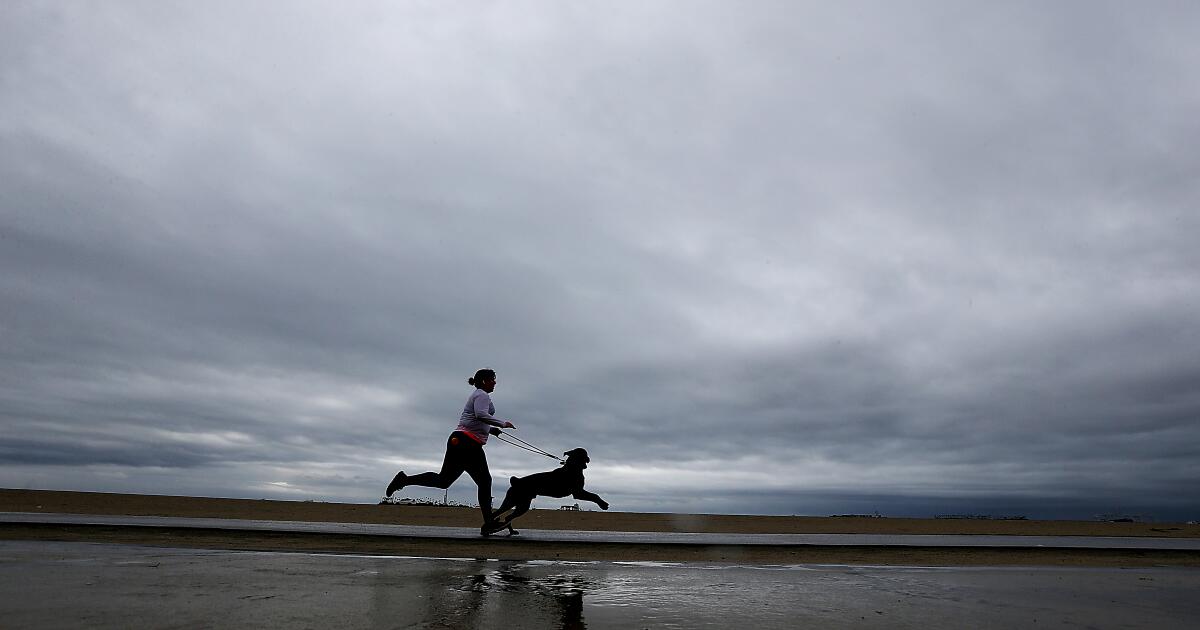 Officers urge beachgoers to keep away from L.A. County seashores after rain Officers urge beachgoers to keep away from L.A. County seashores after rain