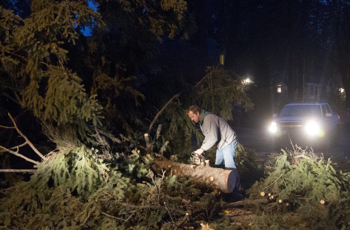 Cameron Napora, a contractor, stops to cut a large tree that was blocking the road during a windstorm that swept through Spokane, Wash. on Tuesday.