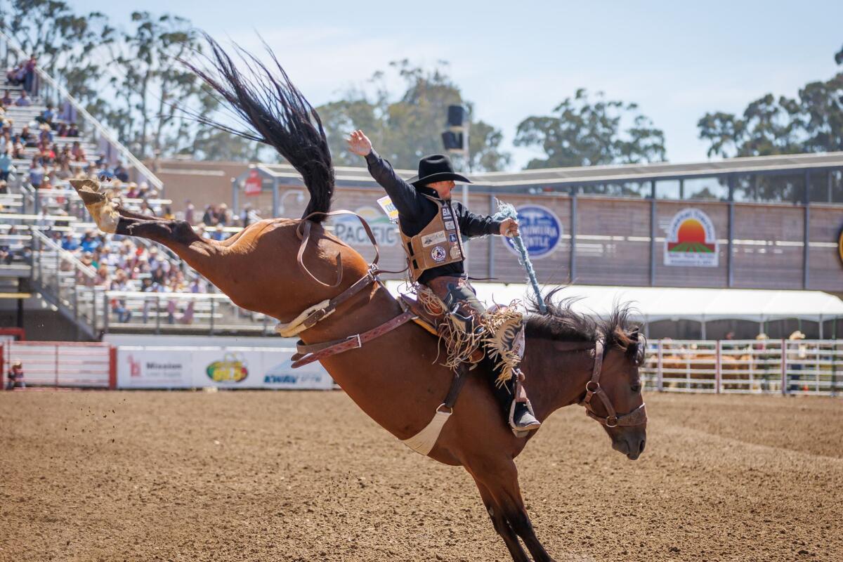 The California Rodeo in Salinas features events including saddle bronc riding, shown here.