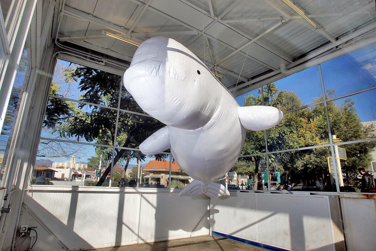 The Adams Square Mini-Park Gas Station provides an aquarium-like enclosure for the artwork of YaYa Chou, entitled "Beluga's Journey" in Glendale on Monday, Feb. 1, 2016.