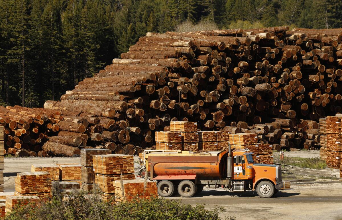 A giant log pile towers over a big rig.