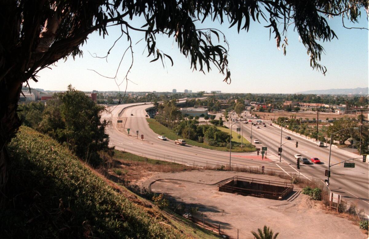 A merger from one freeway onto another framed by a branches 