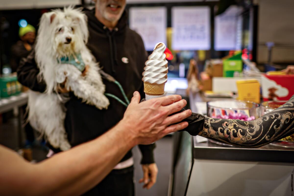 Two hands passing off a vegan ice cream cone as a person stands holding a small white dog in the background.