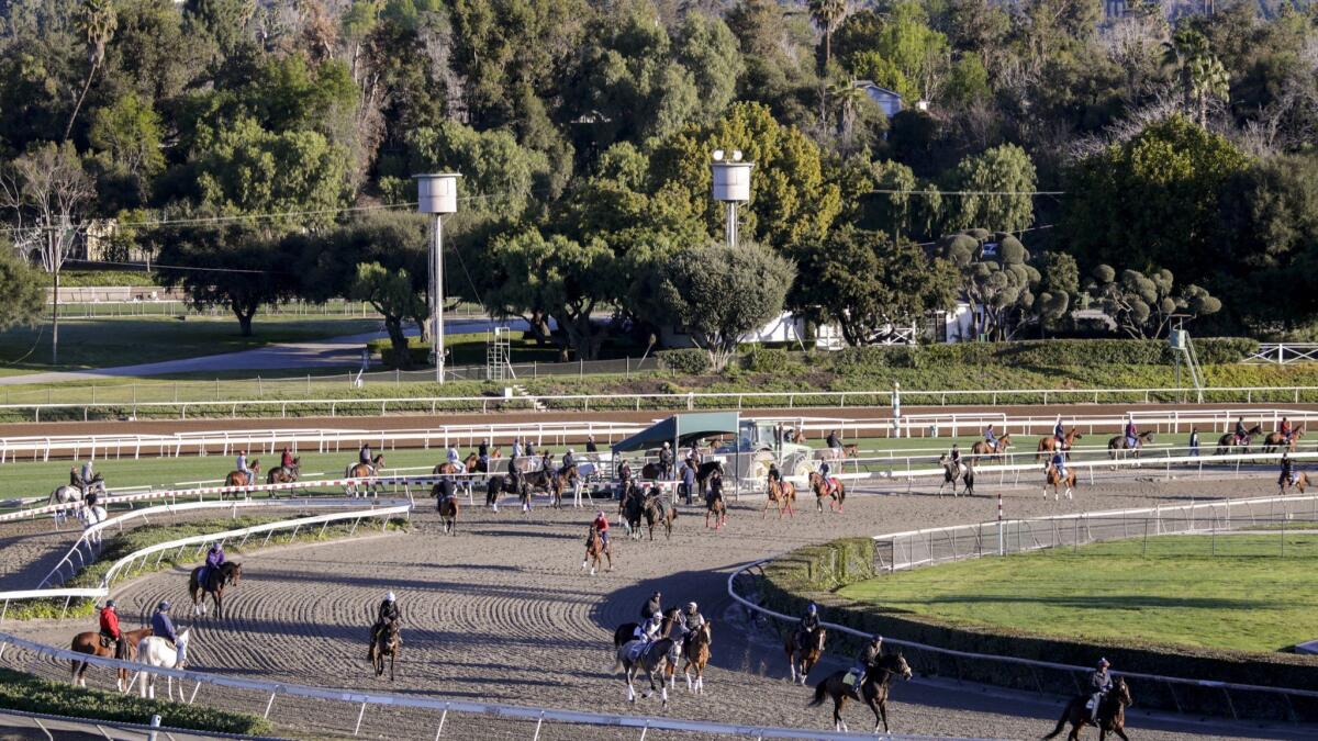 Riders on the training track on March 08, 2019 at Santa Anita Race Track.