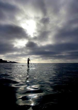 La Jolla Underwater Park and State Marine Conservation area