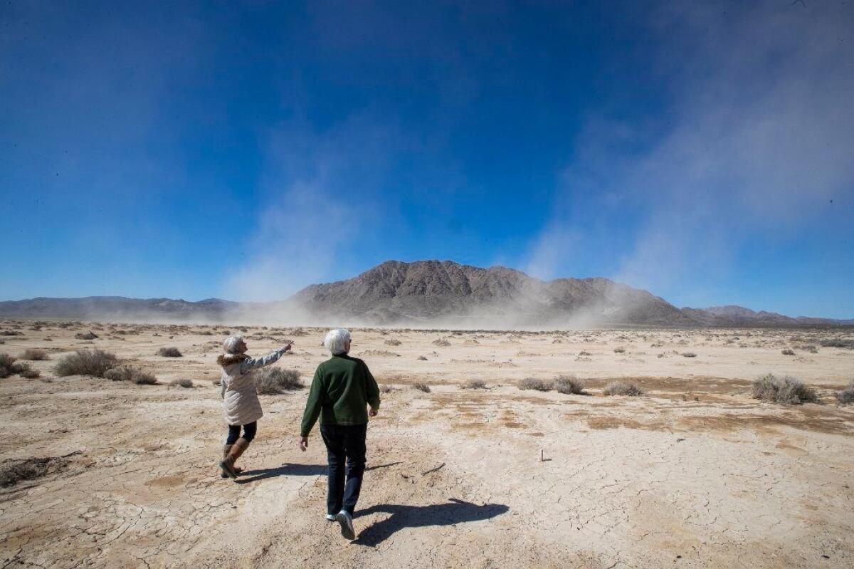 Robin Kobaly, left, a botanist and executive director of the SummerTree Institute, and Pat Flanagan, board member of the Morongo Basin Conservation Assn., walk amid a dust storm on the Lucerne Dry Lake on Feb. 25, 2019 in Lucerne Valley, Calif.
