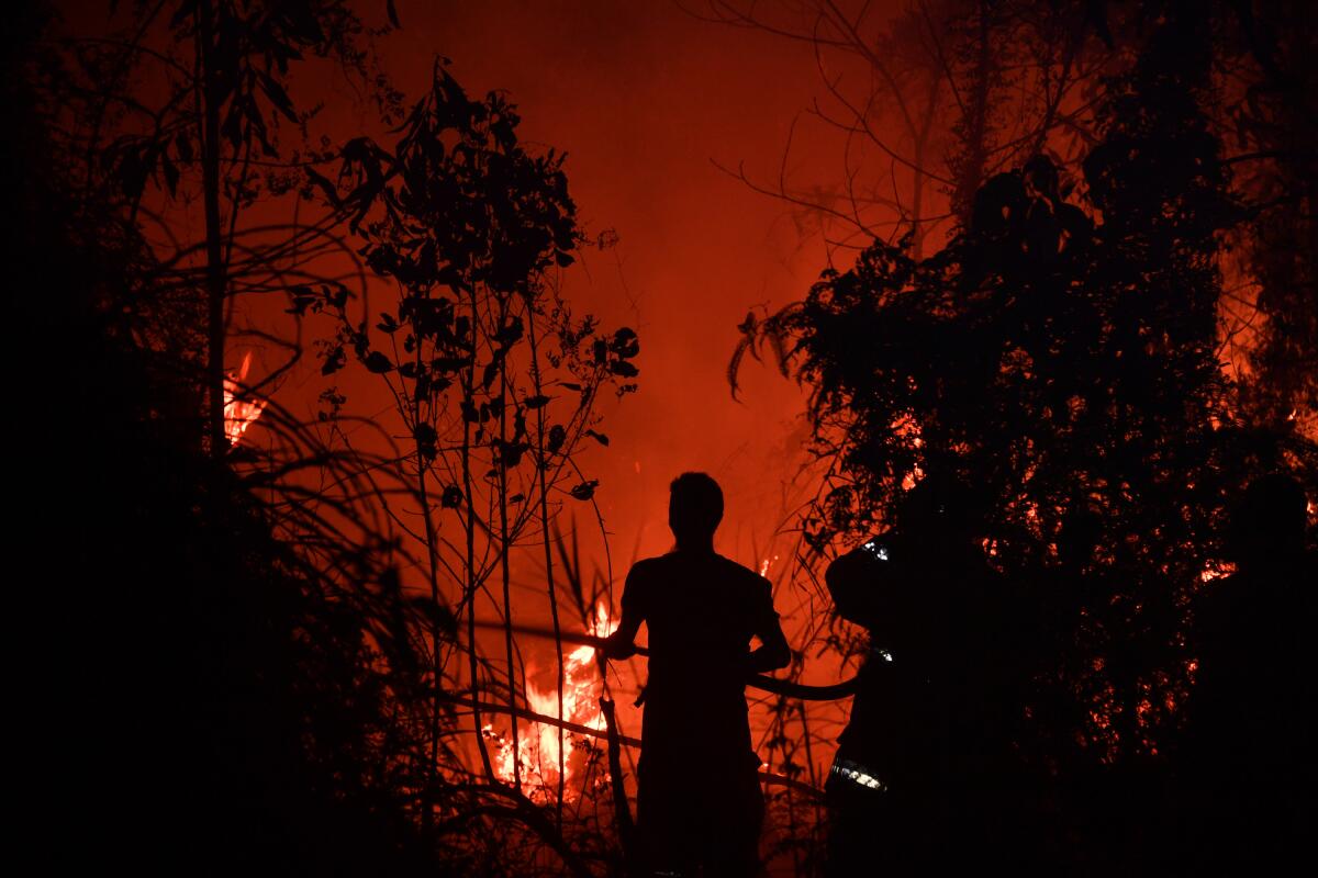 Indonesian firefighters extinguish a fire in Pekanbaru, Riau province, on Friday. The number of blazes in Indonesia's rainforests has jumped sharply, spreading smog across Southeast Asia.