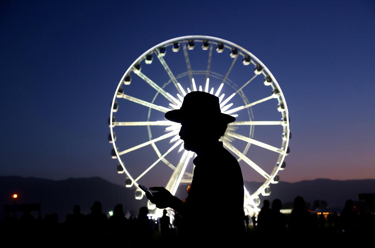 A music fan is silhouetted by a lit-up ferris wheel.