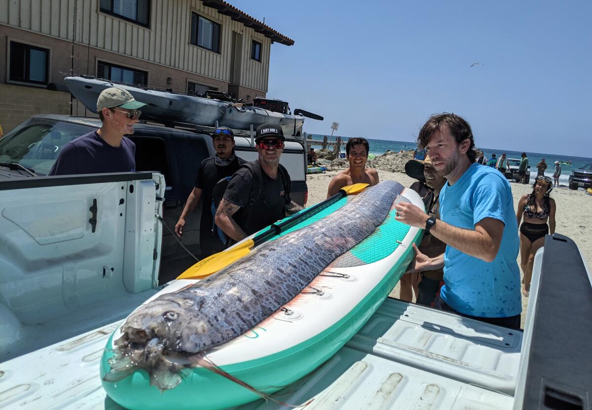 An oarfish aboard a boat. 