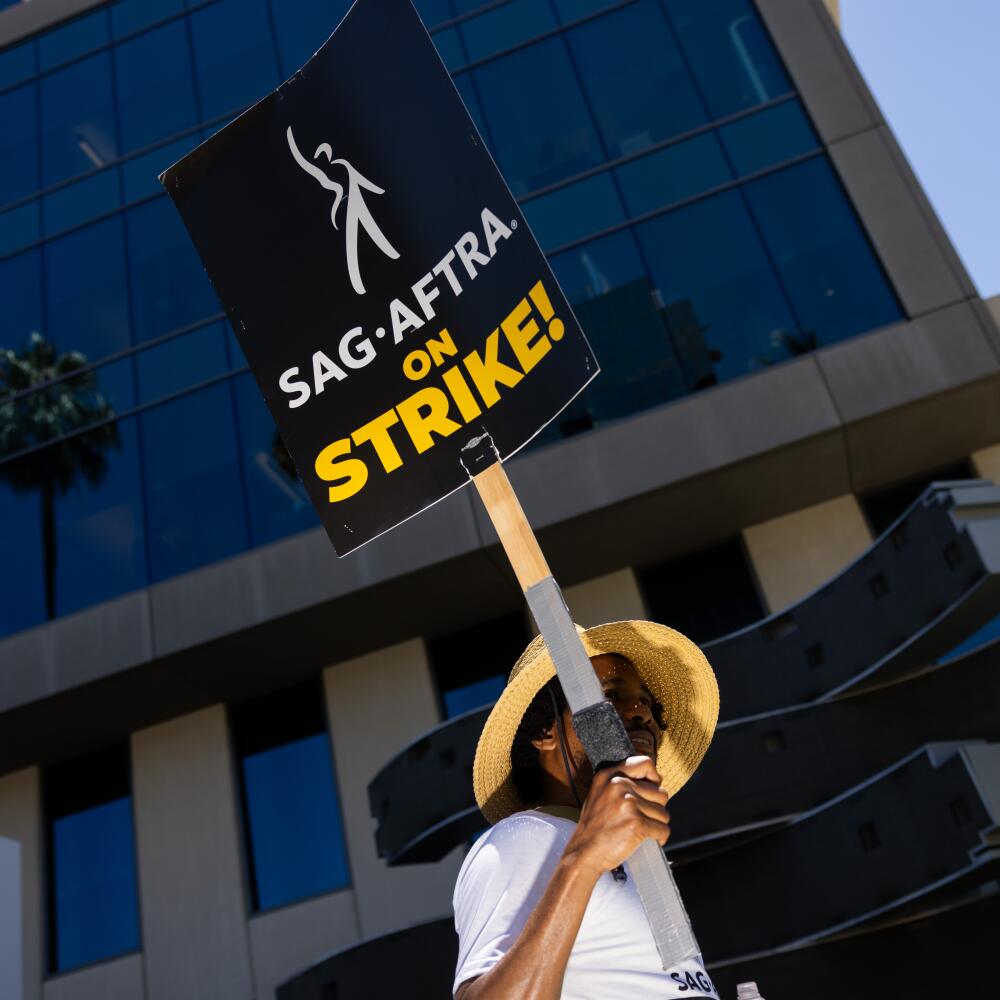 A man holds up a picket sign.
