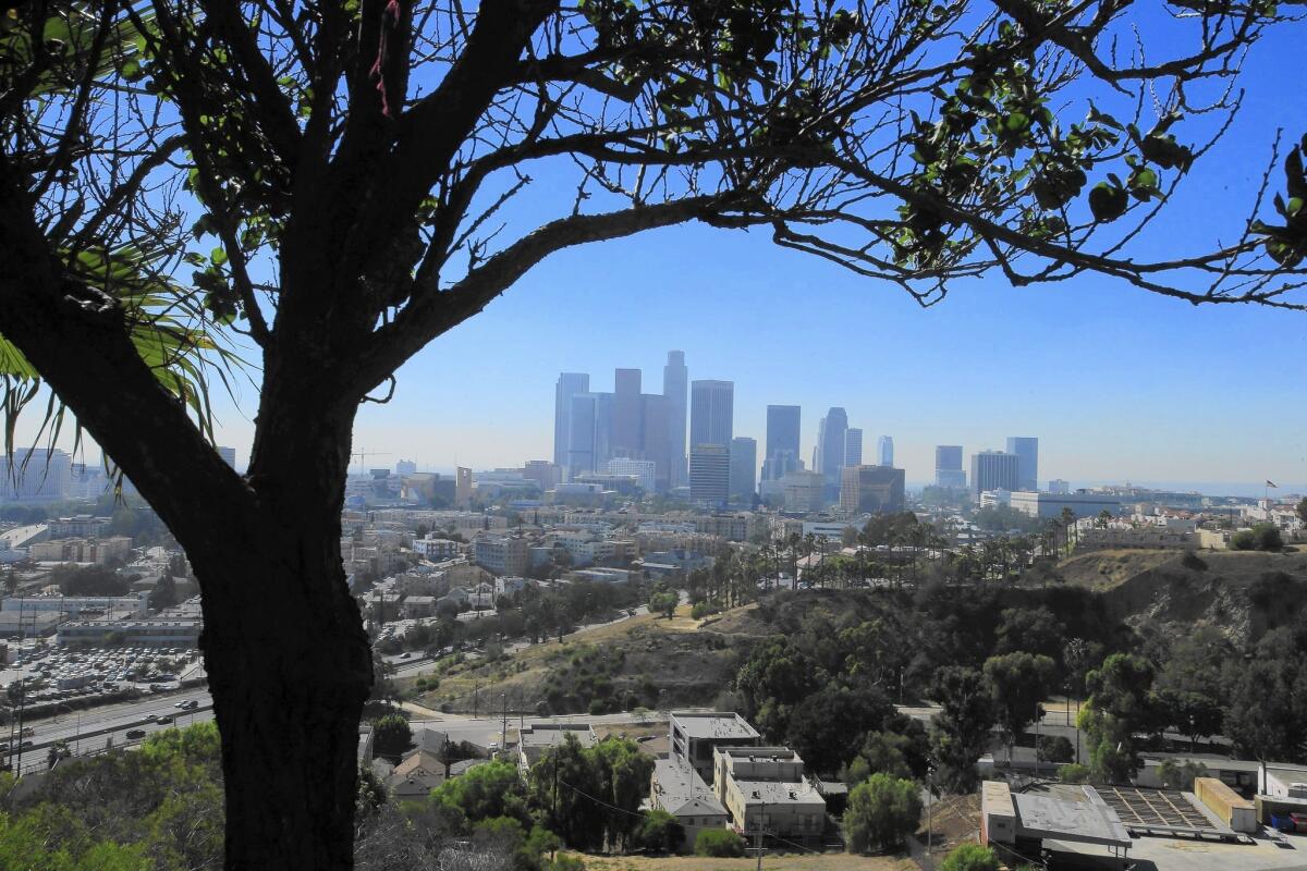 Downtown Los Angeles as viewed from Elysian Park. Many Californians have experienced the jump in pollution as more hazy vistas and bad air days. Others have faced noticeable health consequences.