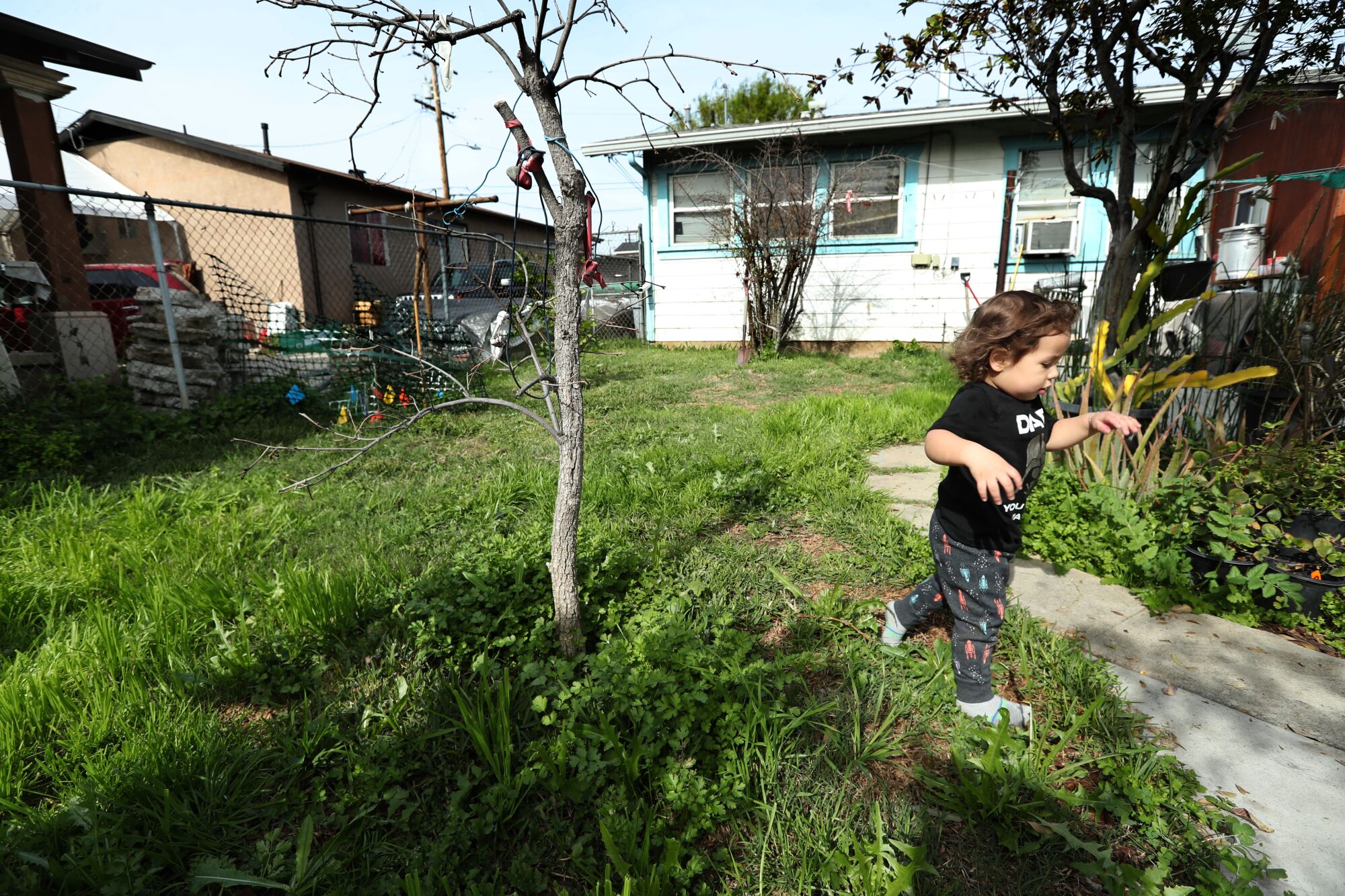 A toddler runs in the backyard of a home.