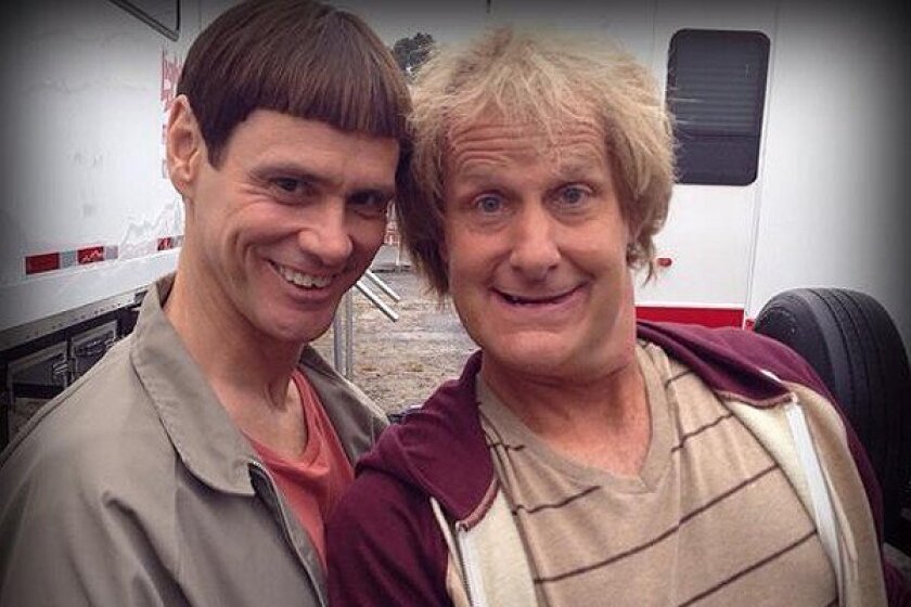 Dumb and Dumber Hulu: 15 Best Movies To Stream In July