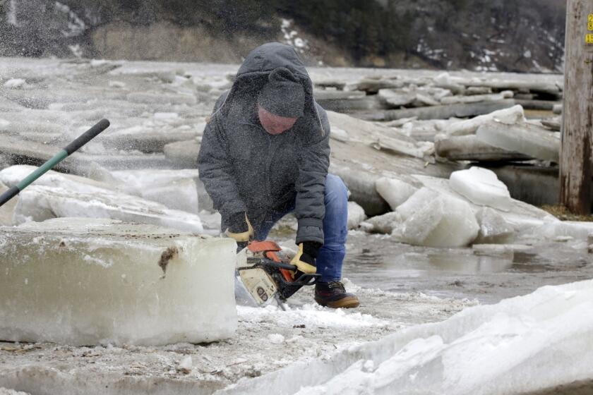 Jim Freeman tries to saw through thick ice slabs on his property in Fremont, Neb., Thursday, March 14, 2019, after the ice-covered Platte River flooded it's banks. Evacuations forced by flooding have occurred in several eastern Nebraska communities. (AP Photo/Nati Harnik)